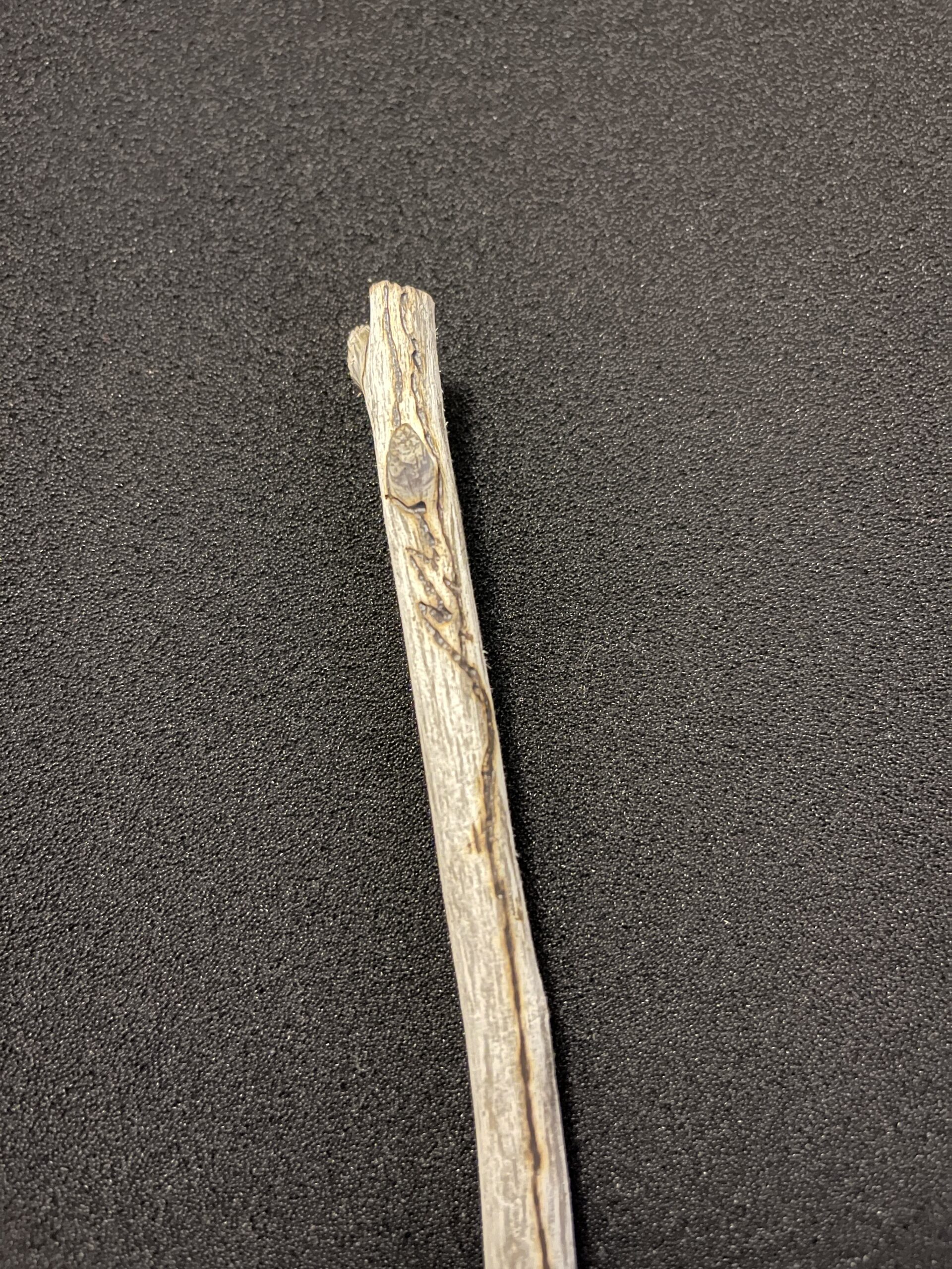 Linconia Driftwood Wand - "Shoreline Enchantment"