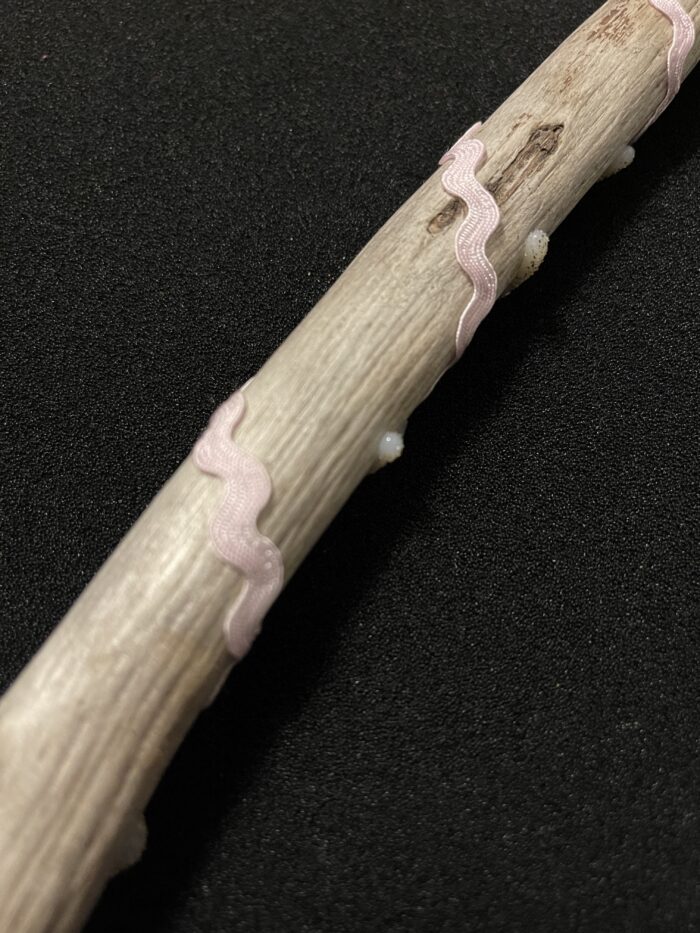 Linconia Driftwood Wand - "Sandstorm Sorcery" - Image 2